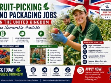 Fruit-Picking and Packaging Jobs in the United Kingdom: Visa Sponsorship